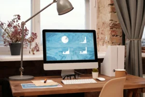 Best Digital Marketing Agency in Nagaland